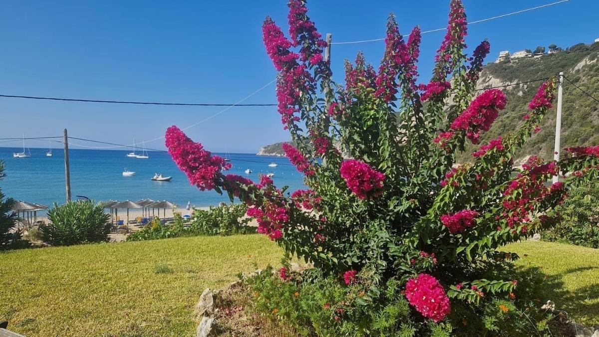 San George Cove Aparthotel Afión Eksteriør bilde